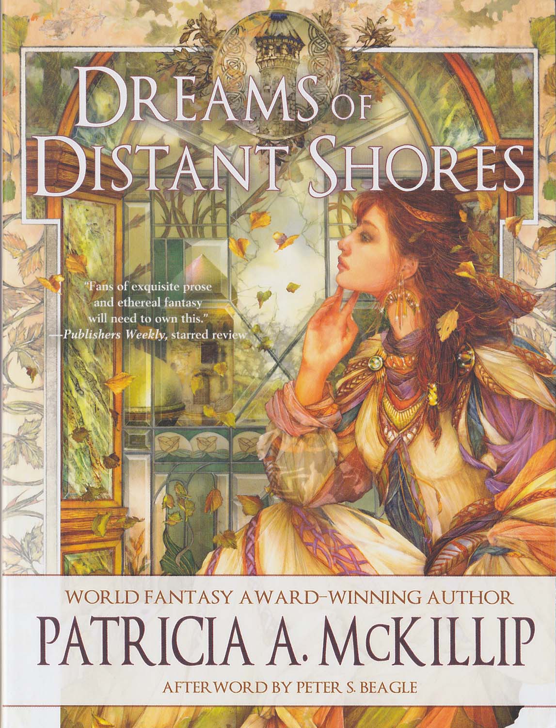 Dreams of Distant Shores book cover