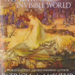 Wonders of the Invisible World book cover