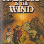 Harpist in the Wind book cover